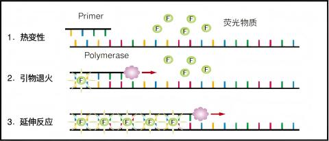 TAKARA 高特异性qPCR试剂 RR820A (原SYB