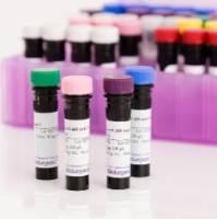  Pacific Blue™ anti-human CD8a