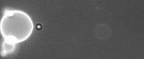 产品细节图片17