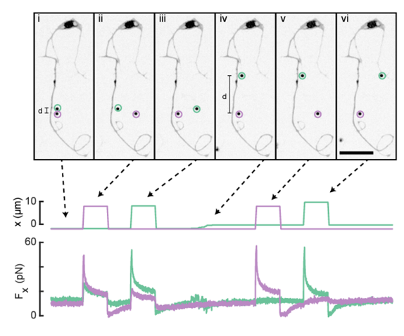 产品细节图片15