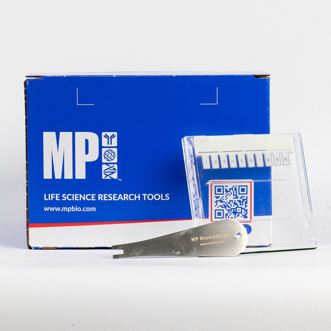 Tris-Gly蛋白电泳预制胶