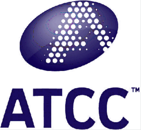 SNU-1327细胞培养过程