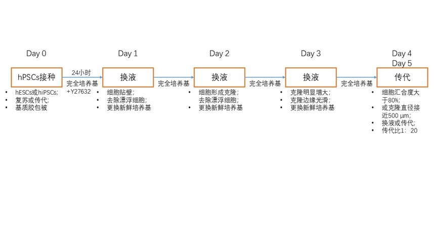 RC200120 流程图.jpg