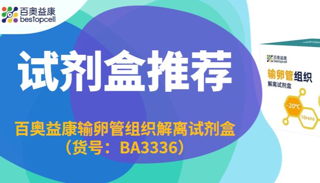 试剂盒推荐 | 解锁生殖奥秘——百奥益康输卵管试剂盒