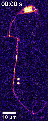 产品细节图片16