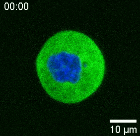 产品细节图片13