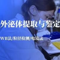 外泌体提取与鉴定