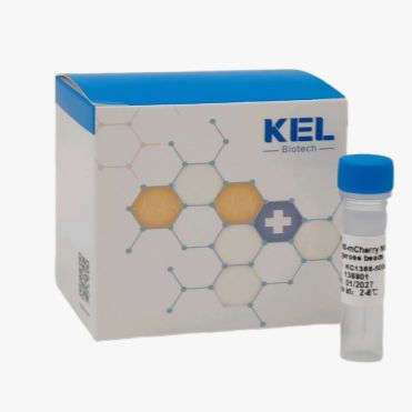 Anti-mCherry Nanobody Agarose beads