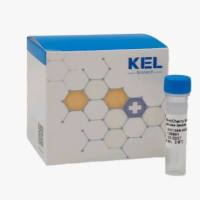 Anti-mCherry Nanobody Agarose beads