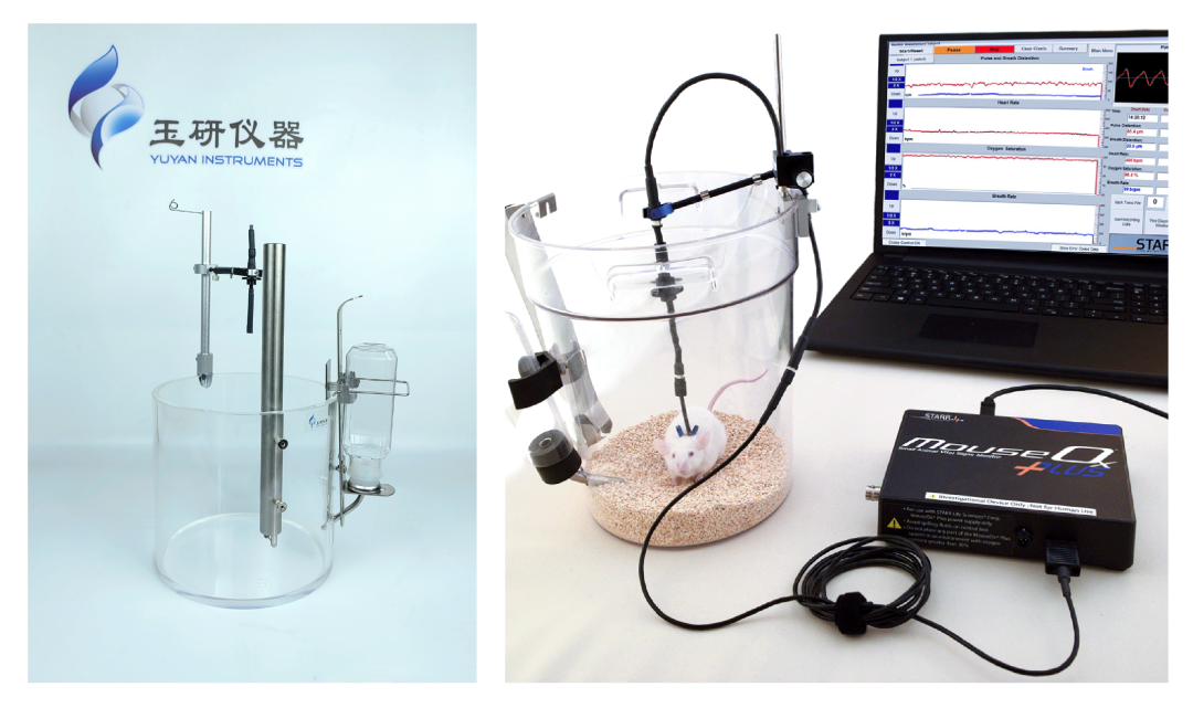 脉搏血氧仪 (4).png