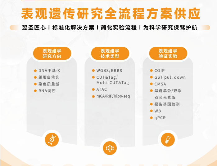 邀请函 | 定了！翌圣生物邀您共赴2025年度表观遗传与染色质生物学大会！