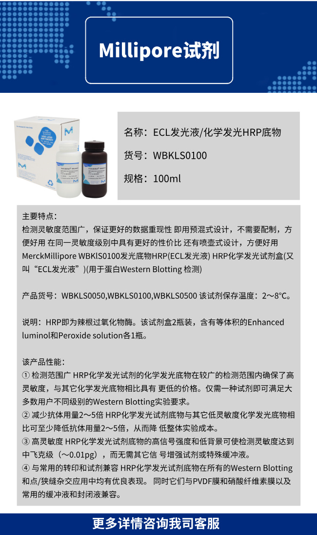 ECL发光液/化学发光HRP底物，WBKLS0100