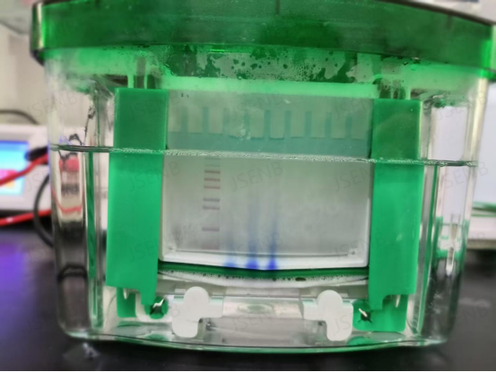 1×SDS-PAGE快速电泳液（干粉）