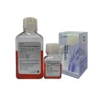 hiPSCs/hESCs无血清无动物源无滋养层干细胞+解离液套装培养基