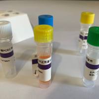 鸡毒支原体(MG)核酸检测试剂盒(探针法荧光PCR)