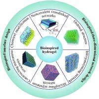 负载紫杉醇的壳聚糖水凝胶 PTX@CS hydrogel