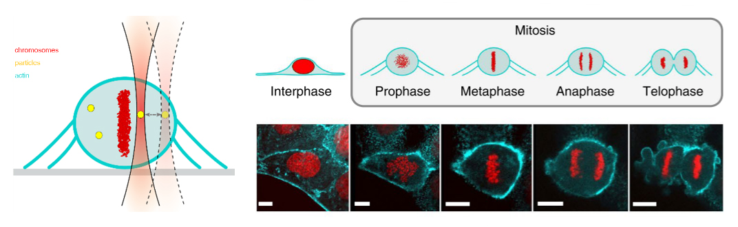 产品细节图片14