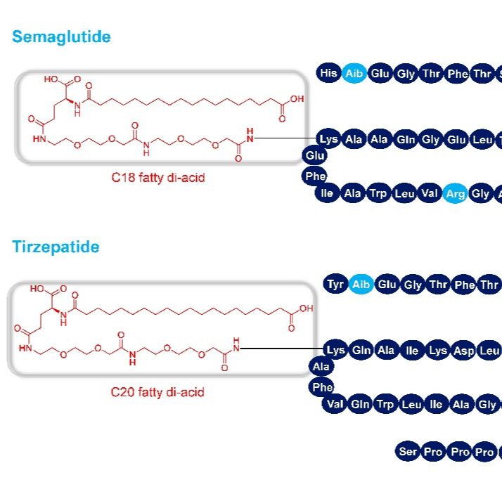 长效多肽脂肪酸侧链