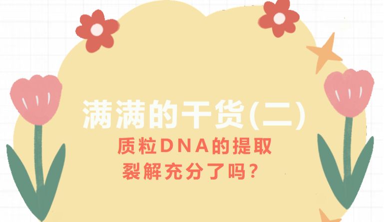 满满的干货（二）：质粒DNA的提取，裂解充分了吗？
