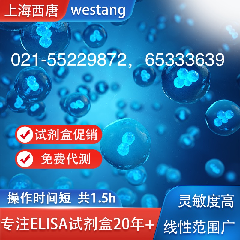 rat BDNF elisa kit（货号：F1510）