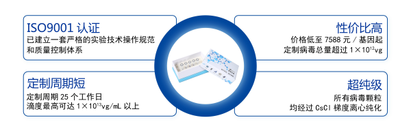 过表达腺相关病毒包装