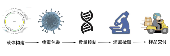 过表达腺相关病毒包装