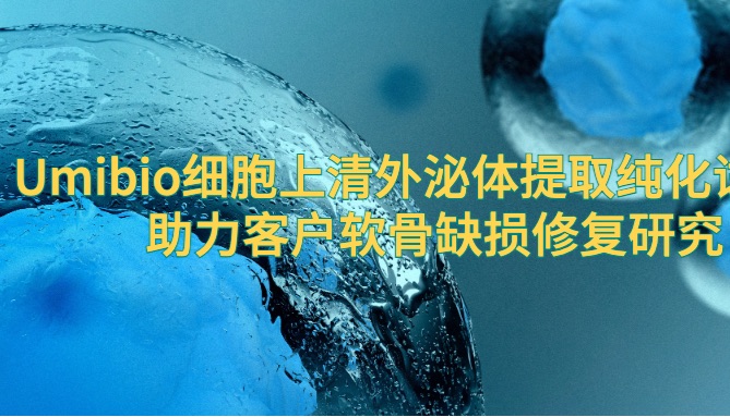 IF=8.1 | Umibio 细胞上清外泌体提取纯化试剂盒（UR52121）助力客户软骨缺损修复研究！