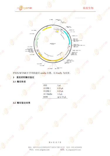 产品细节图片7