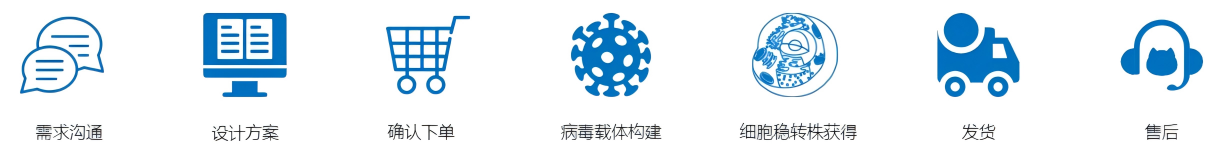 基因干扰稳转细胞株