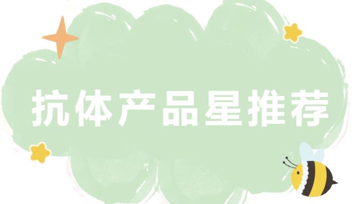 抗体产品星推荐第三十一期|ActivAb™Anti-EEA1 Polyclonal Antibody