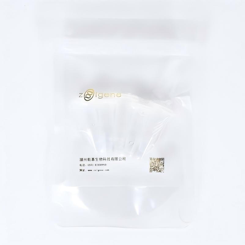 外泌体成品定制