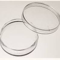 100mm细胞培养皿