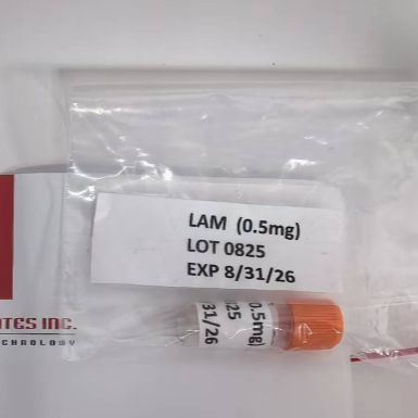 结核菌脂阿拉伯甘露糖(LAM)