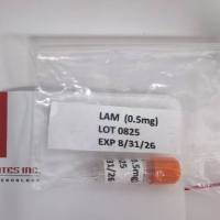 结核菌脂阿拉伯甘露糖(LAM)