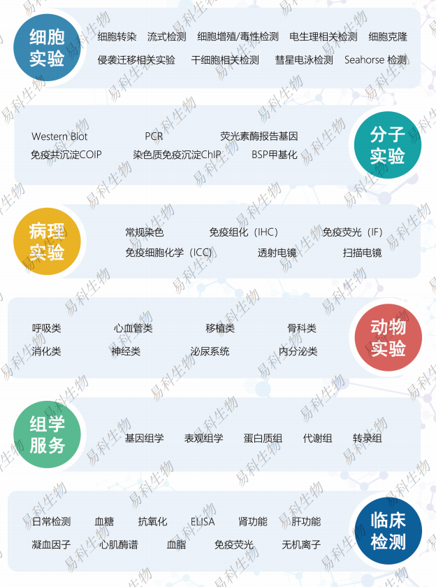 产品细节图片5