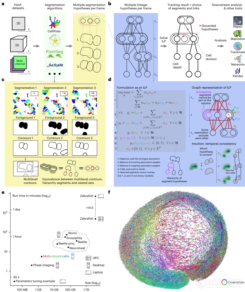 Ultrack技术突破细胞追踪极限：跨尺度生物研究的革命性工具