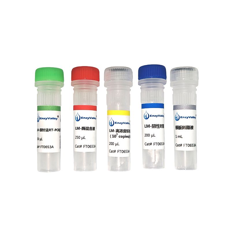 单核细胞增生李斯特菌探针法RT-PCR试剂盒