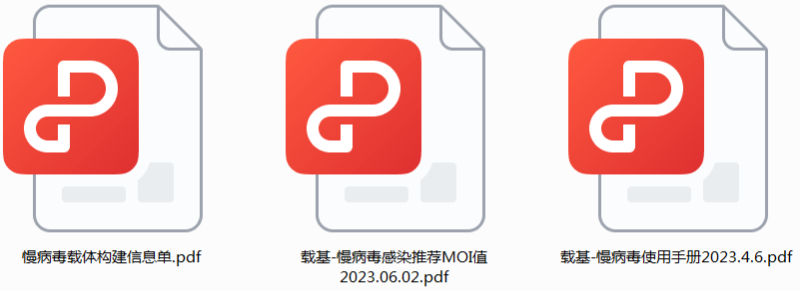 基因干扰稳转细胞株