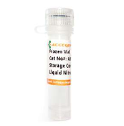 人外周血CD4+ T细胞全面解析