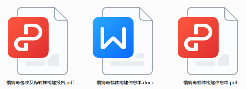 基因干扰稳转细胞株