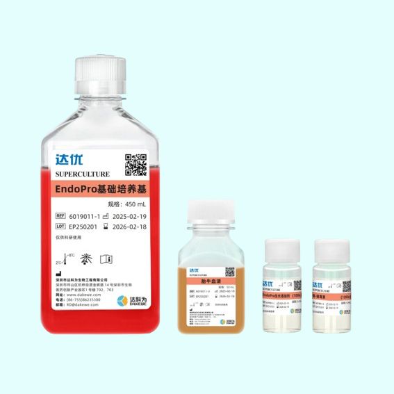 EndoPro内皮细胞培养基