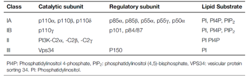 细胞凋亡系列篇【4】抗细胞凋亡的中心枢纽：PI3K/AKT信号通路