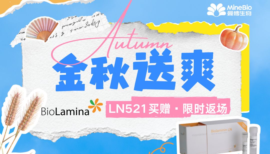 瑞典BioLamina人层粘连蛋白LN521买赠福利第二波！