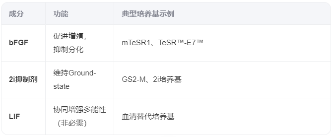 小鼠胚胎干细胞（mESCs）的培养生物学特性和技术挑战