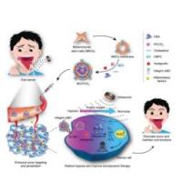 负载过氟戊 烷和光敏剂维替泊芬的脂质体被间充质干细胞膜包裹 Verteporfin/PFP@Liposome@MSCs