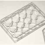 12孔细胞培养板