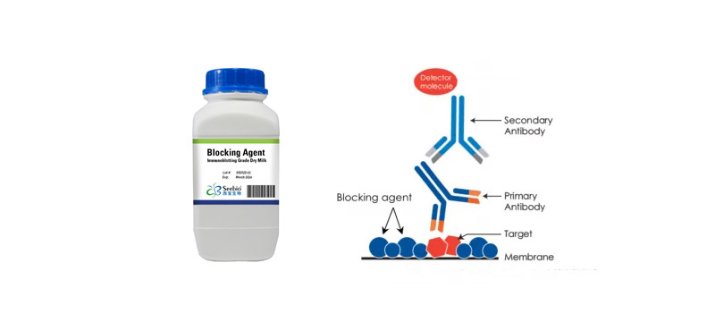 封闭剂 新闻图片1