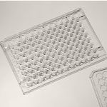 96孔细胞培养板