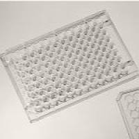 96孔细胞培养板