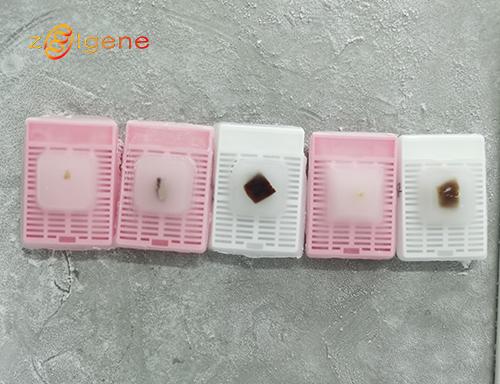 产品细节图片2